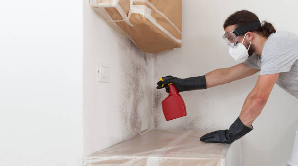 Professional Mold Cleanup technician working in Mebane, NC