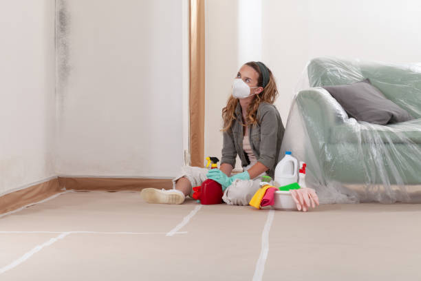 Reliable Mold Cleanup contractor in Mebane, NC by Cheap Mold Removal